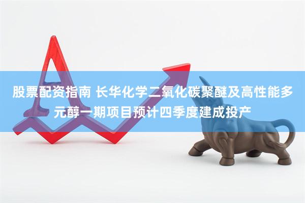 股票配资指南 长华化学二氧化碳聚醚及高性能多元醇一期项目预计四季度建成投产