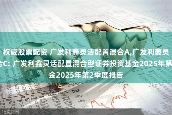 权威股票配资 广发利鑫灵活配置混合A,广发利鑫灵活配置混合C: 广发利鑫灵活配置混合型证券投资基金2025年第2季度报告