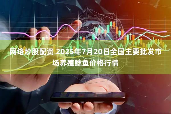 网络炒股配资 2025年7月20日全国主要批发市场养殖鲶鱼价格行情
