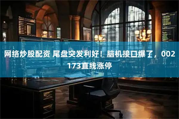 网络炒股配资 尾盘突发利好！脑机接口爆了，002173直线涨停